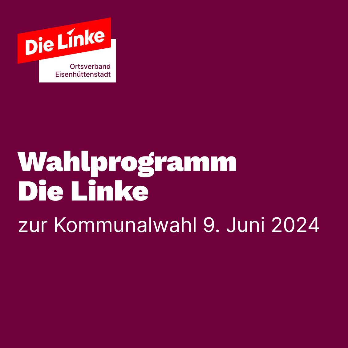 Wahlprogramm Die Linke Eisenhüttenstadt 2024