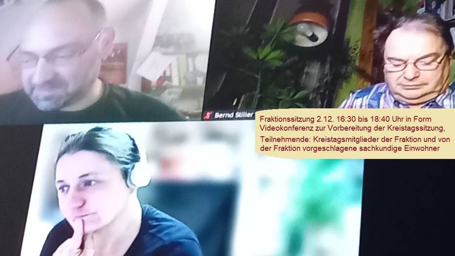 Online Sitzung Linke Fraktion