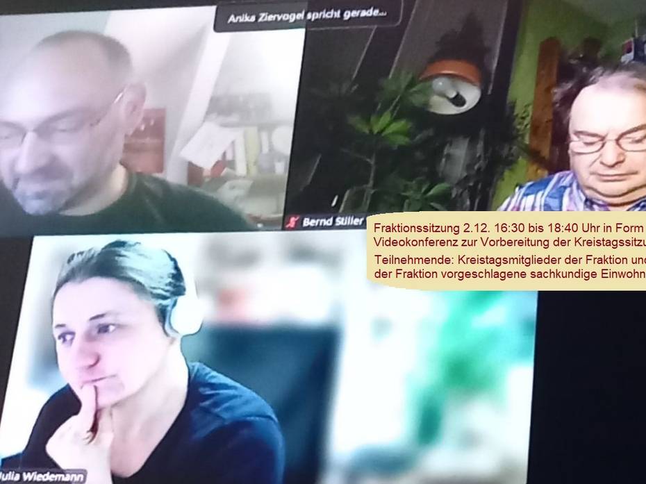 Online Sitzung Linke Fraktion