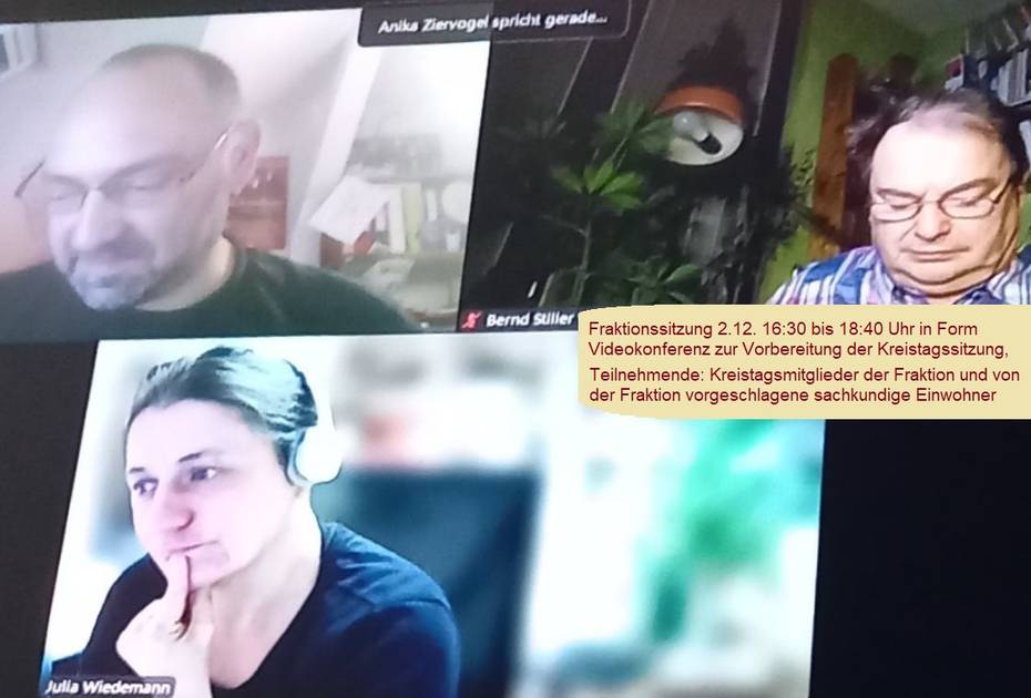 Online Sitzung Linke Fraktion